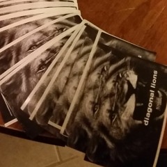 INTERVIEW Ep. 3 - Diagonal Lions! Pt. 1