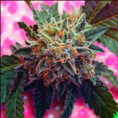 The Underground Mix by TWON