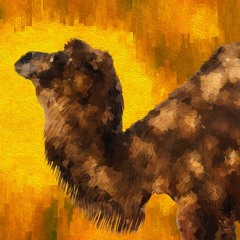 Danger in the desert