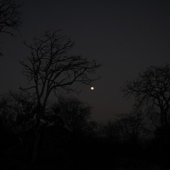 The Experiment at La Chorrera