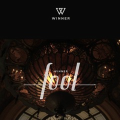 WINNER - FOOL (Instrumental)