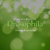 Podcasts Drosophila 03 Aullando A La Luna Licantropia