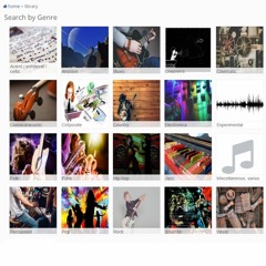 MEDIA MUSIC MANAGER ARTIST