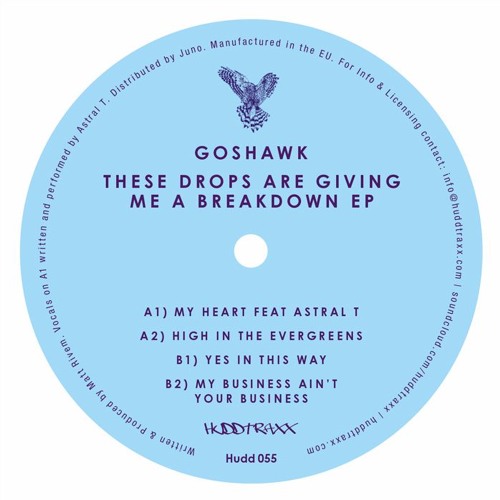 Goshawk - High In The Evergreens - Hudd Traxx 055