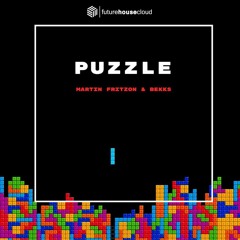 Puzzle (w / Martin Fritzon)