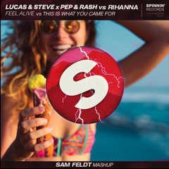 Feel Alive vs This is What You Came For ( Mashup)
