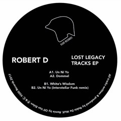 PREMIERE : Robert D - Un Ni Yo (Interstellar Funk Remix)