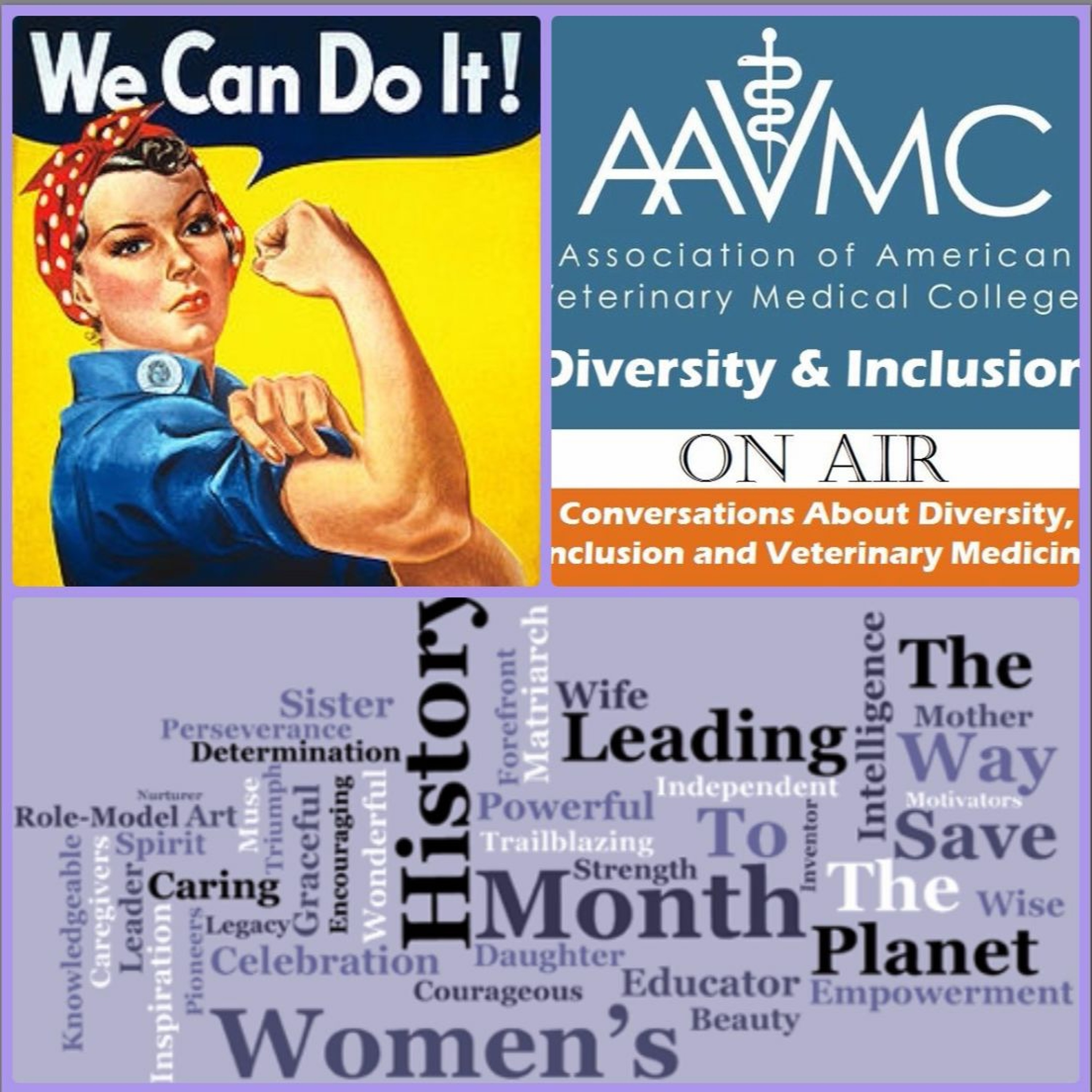 21: Women's History in Veterinary Medicine episode artwork