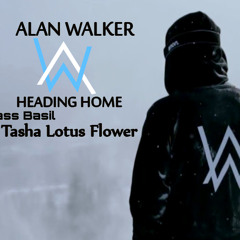Alan Walker - Heading Home (Mass Basil & Tasha Lotus Flower Cover)