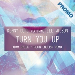 Kenny Dope feat. Lee Wilson - Turn You Up (Adam Hyjek & Plain English Remix)