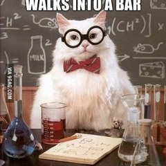Schrodinger's Cat