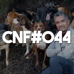 Conversas No Final #044 - Nomes De Cachorro