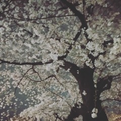 032417 St.Pax Cafe Part2