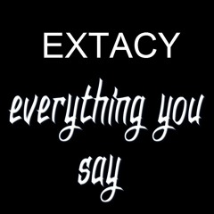 Everything You Say