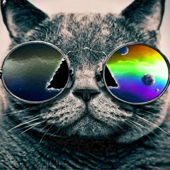 MASHUP (OWN)