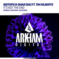 Bigtopo & Omar Diaz Ft. Tim Hilberts - It's Not The End (Radio Edit)