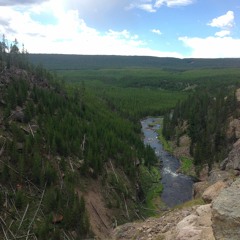 this one retained some melody