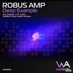 Robus Amp - Deep Example - Music Addict Remix(CUT)