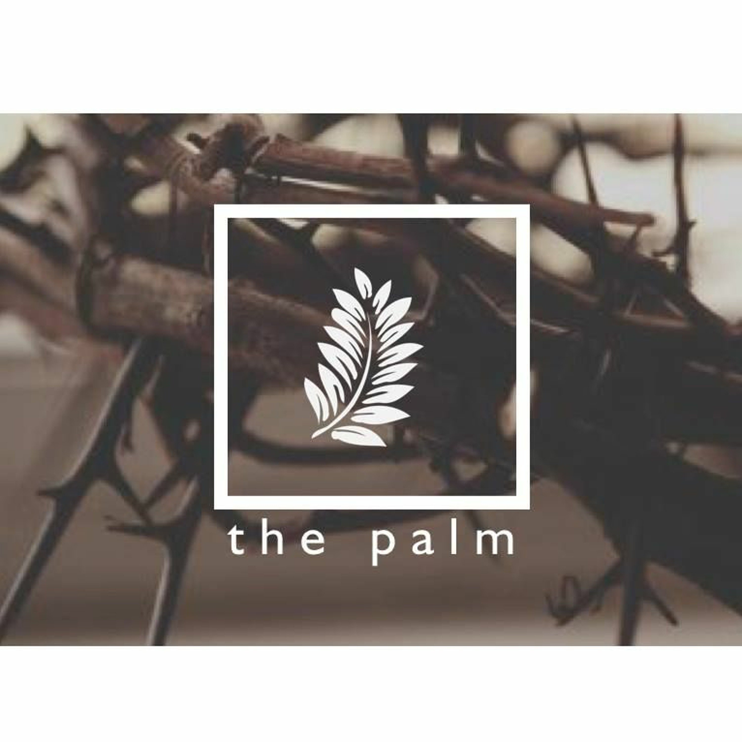 The Palm episode artwork