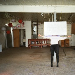 Sharlene Birdsong - The Perceptual Exciter