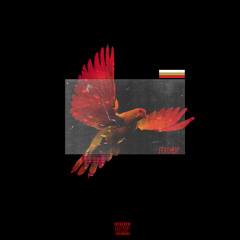 FEATHERS FT. KREWS PROD BY NAKO GENESIS