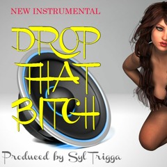 Drop That Bitch (Instrumental)(Produced by Syl Trigga)