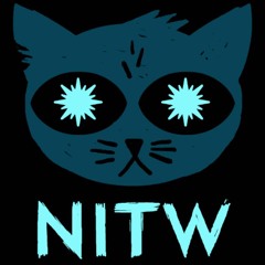 Night In The Woods - Astral Bat Smash