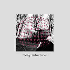 User 506 - cozy interlude (prod. by chopmonk.)