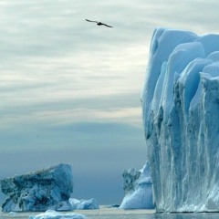 Cold Column, Calving (2016) by Clifton Ingram