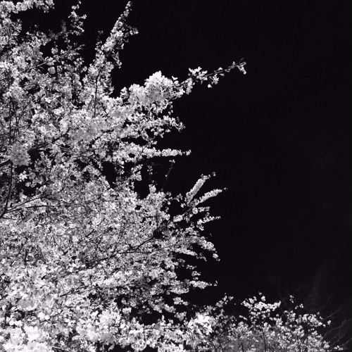 Demo - Crown - MT V4