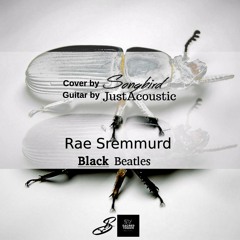 Songbird Black Beatles Cover(Rae Sremmurd)