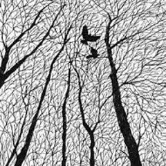 امل عرفة- أرى سلمى