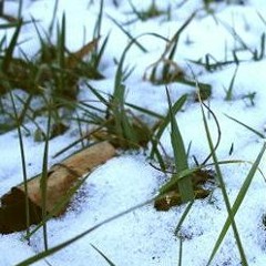 April Thaw