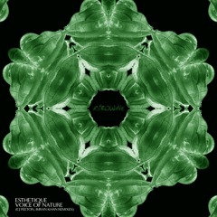 Esthetique - Voice Of Nature (CJ Peeton Remix)
