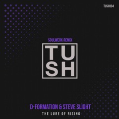 D-Formation & Steve Slight -The Lure of Rising (Soulwerk Remix) Snippet