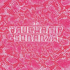 Bauchamp - Sonanza (original version)