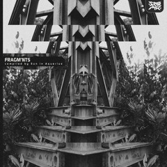 1.Mind Tree-The Owl and the Penguin (Theophany remix) [Taken From ENIG012]