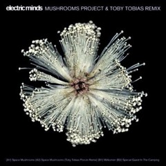Mushrooms Project - Spacemushrooms - toby tobias porcini remix EMINDS012 2009