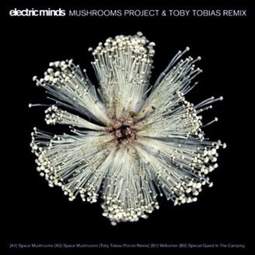 Mushrooms Project - Spacemushrooms - toby tobias porcini remix EMINDS012 2009