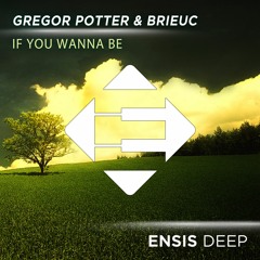 Gregor Potter & Brieuc - If You Wanna Be (OUT NOW)