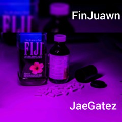 Fin Juawn - Fell in Love Remix ft Jae Gatez.mp3