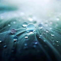 Surrounded by Rain (Binaural Rain) | Delta Wave Binaural Beats | Deep Rest & Sleep
