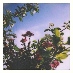 _in bloom.