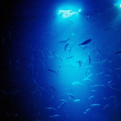 I don't know, Why should i do