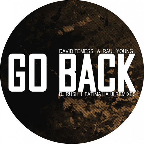 David Temessi, Raul Young - Go Back (Original Mix)