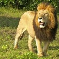 Kenny Rogers Ft Dolly Parton- Islands In The Stream(SmS Remix)