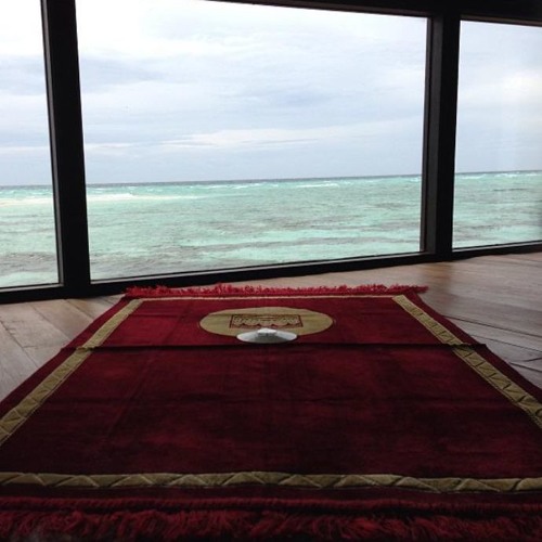 وإذا الشدائد أقبلت .. أحمد النفيس