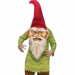 I Think You're A Gnome Now