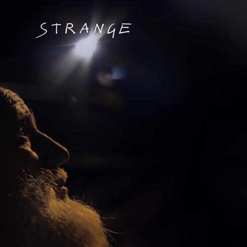 Adana Twins - Strange (Felix Wehden Bootleg)Free Download !