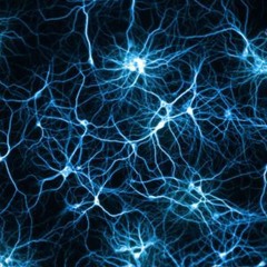SYNAPSENTHERAPIE